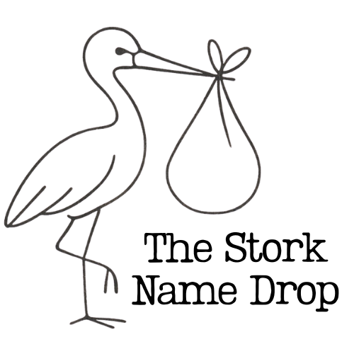 The Stork Name Drop Logo